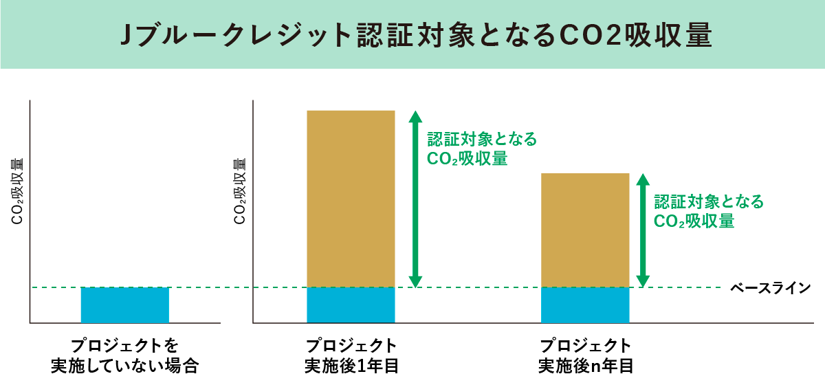 Jブルークレジット認証対象となるCO2吸収量