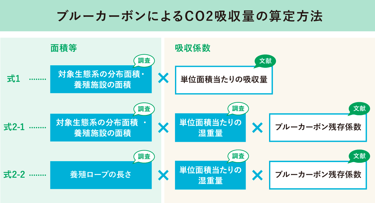 ブルーカーボンによるCO2吸収量の算定方法