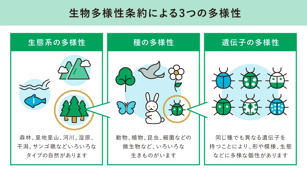 生物多様性条約による3つの多様性